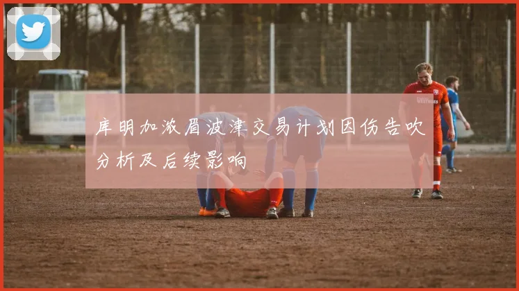 库明加浓眉波津交易计划因伤告吹分析及后续影响